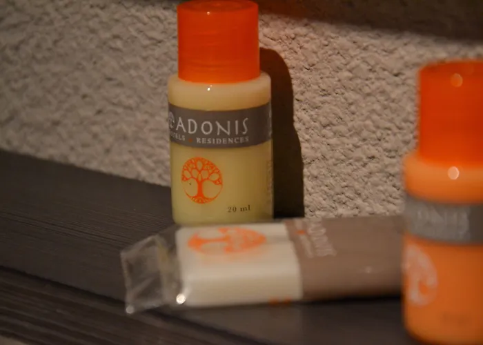 Adonis Hotel Bayonne